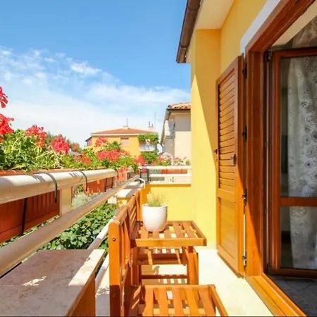 Guest house House Alenka Novigrad Close The And Center Novigrad (Istria)