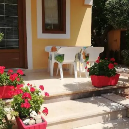 Guest house House Alenka Novigrad Close The And Center *