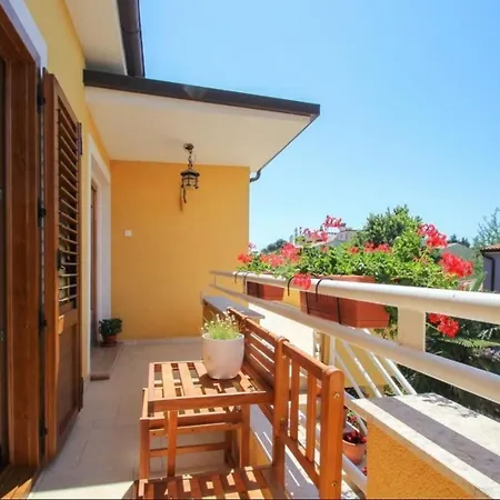Guest house House Alenka Novigrad Close The And Center